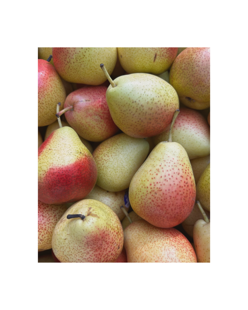 frutas mermeladas artesanales, branding design, visual identity